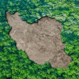 تصویر تزئینی. ایران در میانه یک جنگل، نمادی از محیط‌زیست در خطر ایران